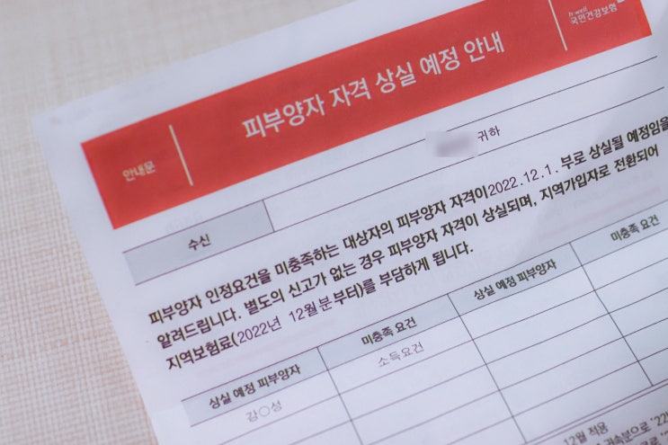 육아 인플루언서 수익 <b>건보료</b> 피부양자 자격 상실 <b>지역가입자</b>... 