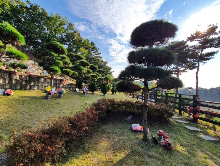  용인묘지 인기높은 장단점 볼게요