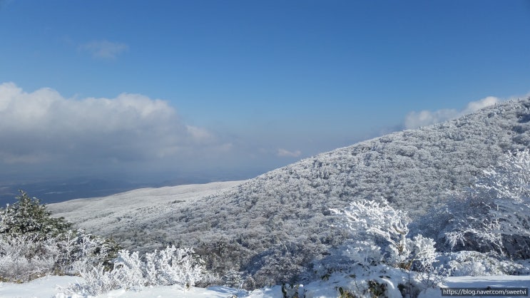  한라산 설경