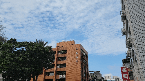 대만 출장 - 마지막 날(중정기념당, 로컬 푸드, 출국)