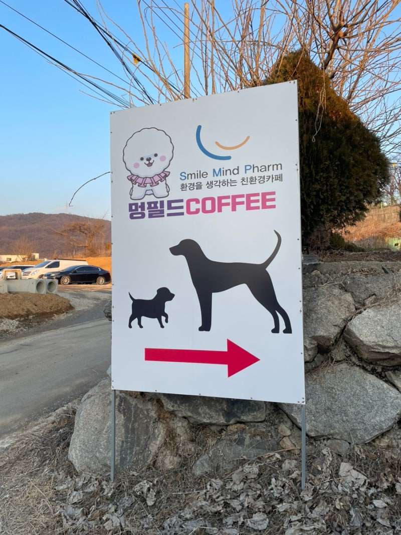 사진 4