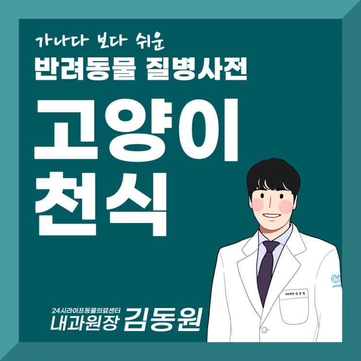 대구고양이병원 : 고양이가 기침을 계속해요 고양이 천식 알아보기 대구고양이병원 : 고양이가 기침을 계속해요 고양이 천식 알아보기