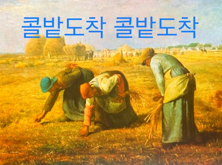  카카오 대리 콜밭도착 추천가 꿀팁