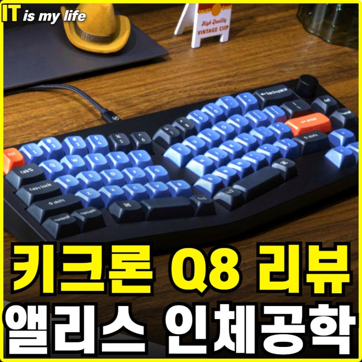  키크론 Q8 앨리스 배열 기계식 인체공학 키보드 장단점