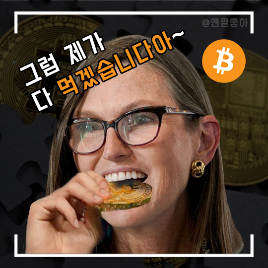  눈나! 아직도 미쳤어? 100만달러 간다고?? (아크인베스트 비트코인 가격 전망 ARK ETF 캐시우드)