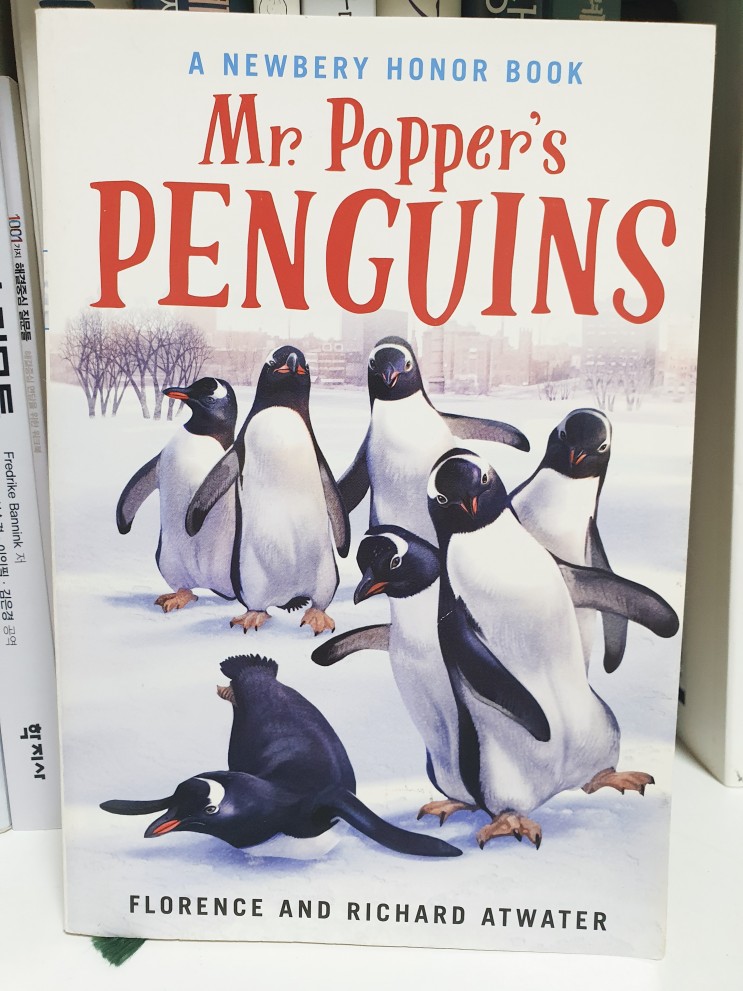 [영어원서 읽기] 55. Mr. Popper's Penguins(파퍼씨의 12마리 펭귄) 리뷰5점대 뉴베리