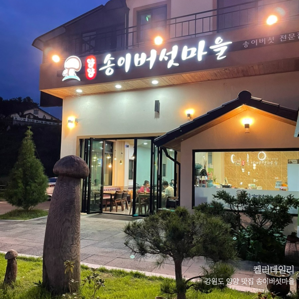  강원도 양양 맛집 송이버섯마을 메뉴 추천 / 양양 하조대 카페 로그