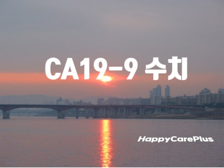  CA19-9 수치 (췌장암 수치 관련)