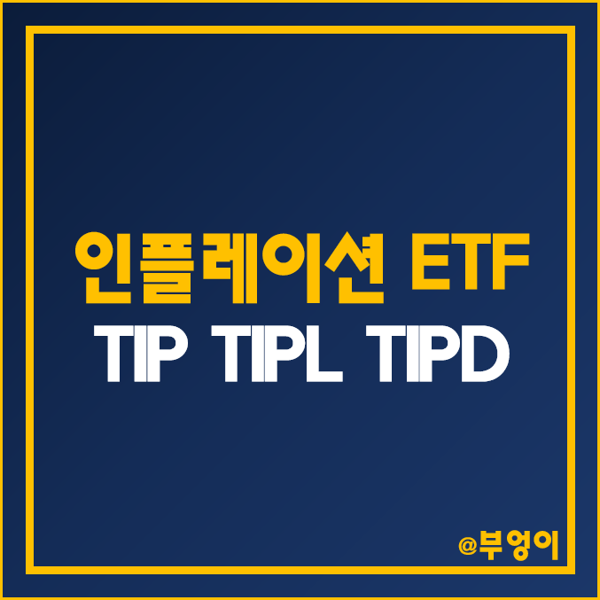 미국 인플레이션 상승 및 하락 수혜주 ETF - TIP, TIPL, TIPD 주가 및 배당 수익률 (물가 연동 채권 관련주, 레버리지 및 인버스 국채 인덱스 펀드 투자)