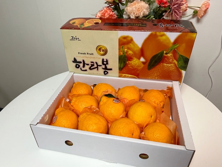 겨울간식 제주한라봉으로 마음 전하고 비타민 채워요 겨울간식 제주한라봉으로 마음 전하고 비타민 채워요