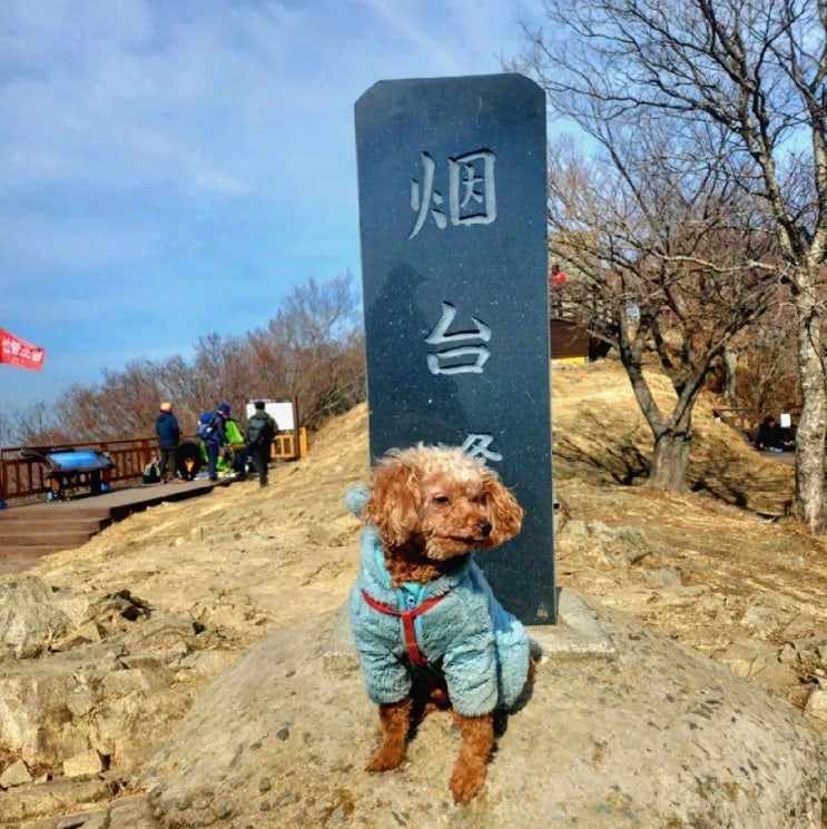  [연대봉완등] 날이 따뜻하니 연대봉 가즈아~쪼꼬씨 완등기념
