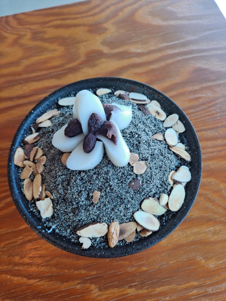  진하카페 설보리 카페 운동36일차성공