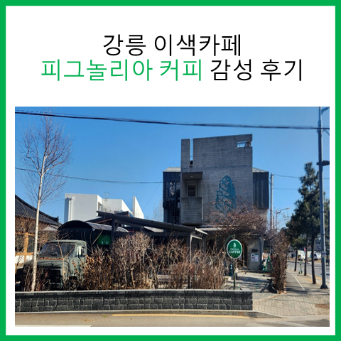 강릉 이색카페 피그놀리아 커피 감성 후기