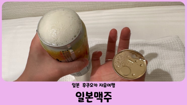 일본 맥주 편의점 캔맥주 추천 (아사히 생맥주 캔, 킨무기 리치 몰트)