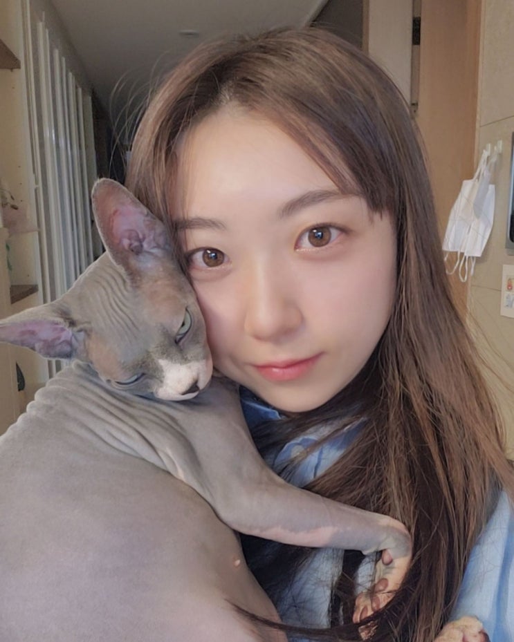 인기 먹방 유튜버 얌야미(이영주), "술 안주로 좋아요" 멸종 위기 밍크 고래 먹방에 네티즌 뭇매 인기 먹방 유튜버 얌야미(이영주), "술 안주로 좋아요" 멸종 위기 밍크 고래 먹방에 네티즌 뭇매