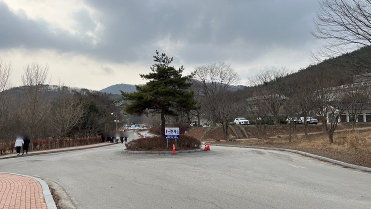  [고창 가볼만한곳] 선운사 방문 후기