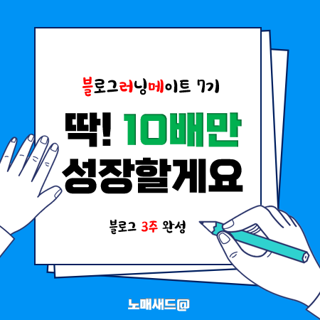 3주만에 10배 성장해보겠습니다.