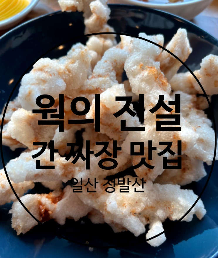  (일산 정발산) 웍의 전설 중국집 간짜장 맛있는 집 (23.02.05)