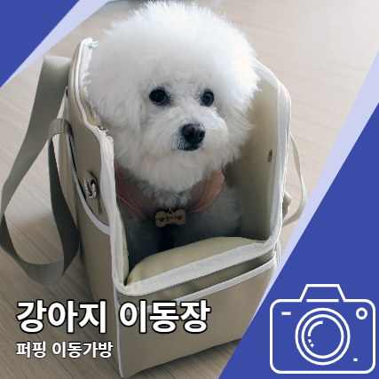 강아지 이동장 퍼핑 이동가방으로 비행기, 카시트 활용 강아지 이동장 퍼핑 이동가방으로 비행기, 카시트 활용