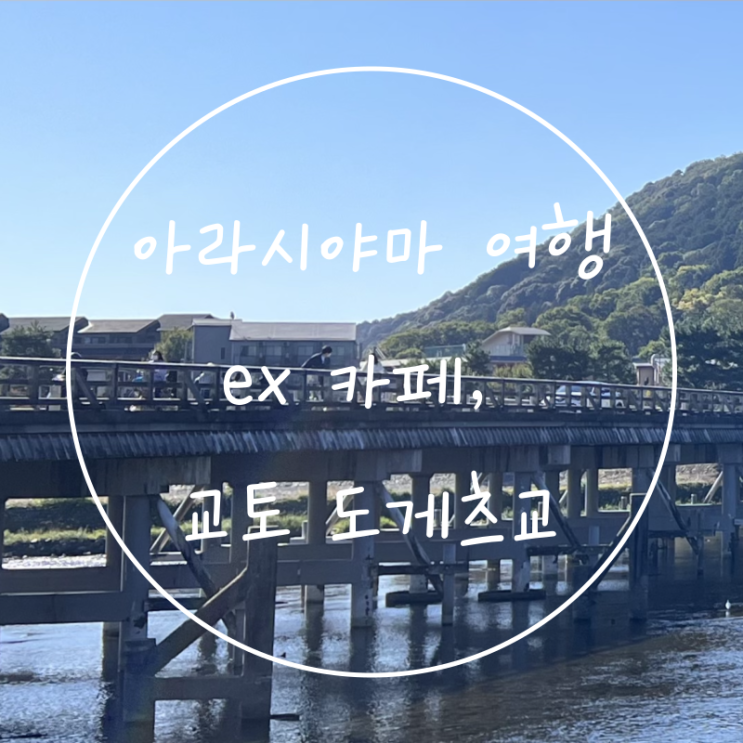  교토 도게츠교 근처 아라시야마 ex 카페 당고 도지마롤 맛집