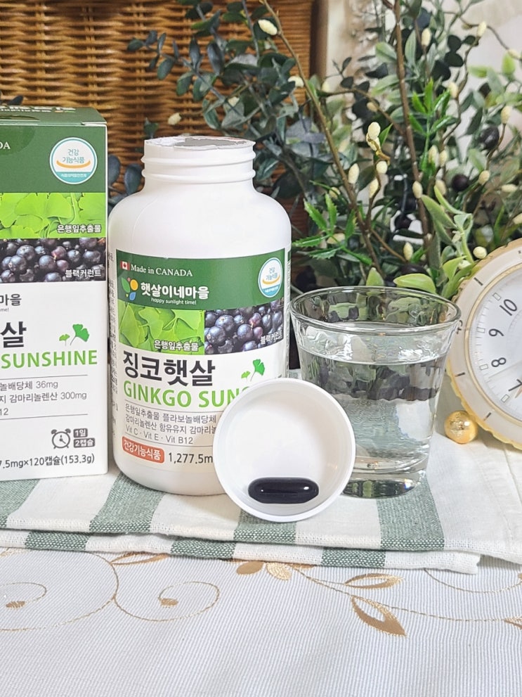  혈액순환개선제 징코햇살 / 혈액순환이 안 될 때 나타나는 증상, 은행잎추출물 감마리놀렌산 효능