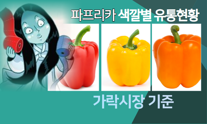  [경매사 추천 농산물] 빨간 종이 줄까, 아니 빨강파프리카 줄까?