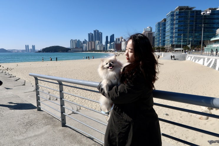  [23.01.30.] 꼬미 해운대 산책