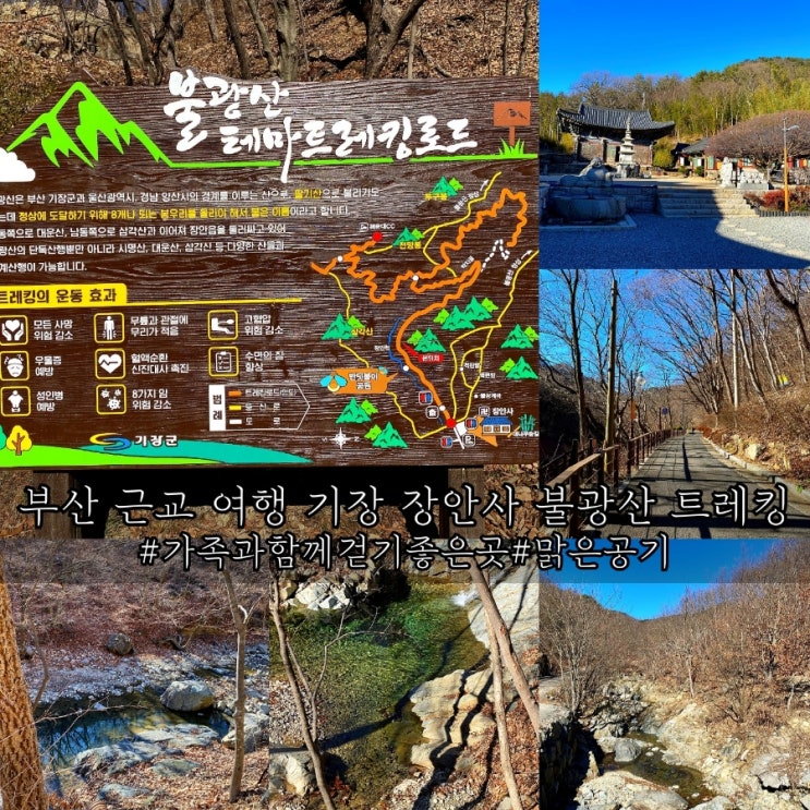  부산 근교 여행 아이들과 걷기 좋은 기장 장안사 불광산트레킹!