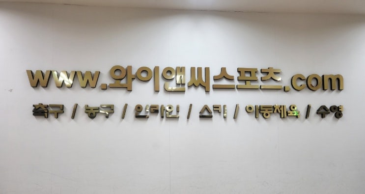  유아체육 축구교실[도봉구 유아 축구, 계절 스포츠, 종합 센터]