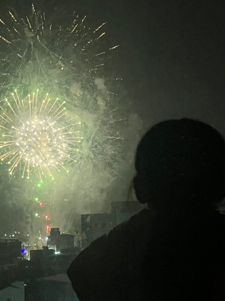  늦은 2023년 1월 일기