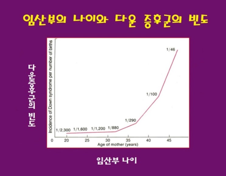  니프티 vs 양수검사