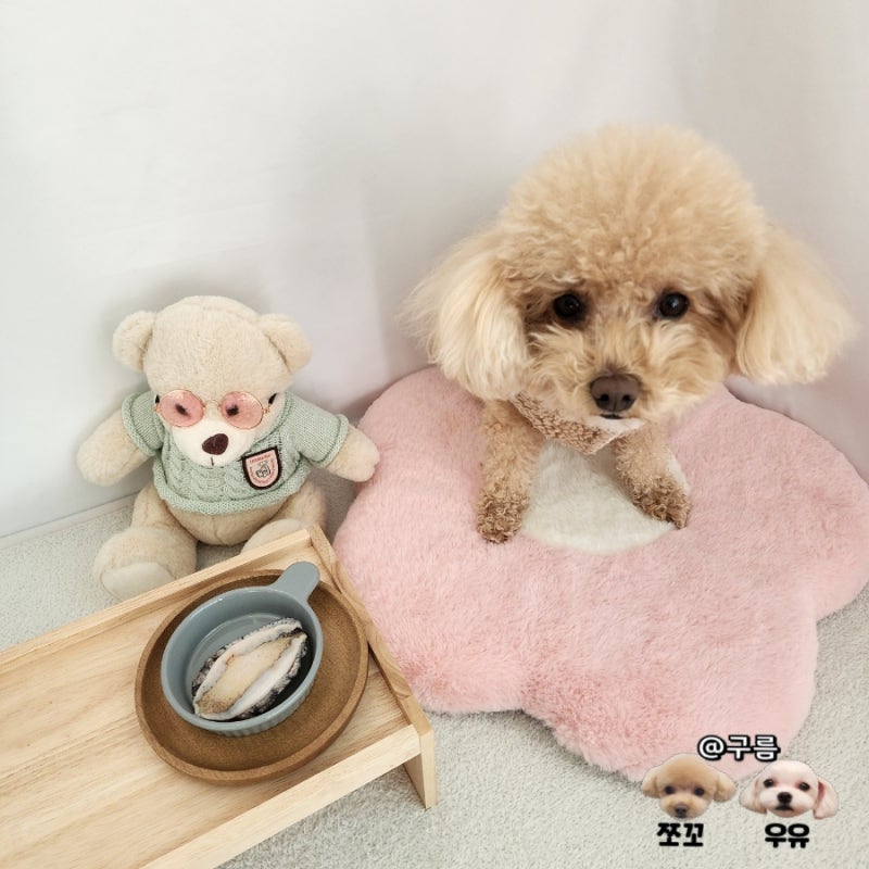 강아지 조개, 강아지 먹어도되는 음식 인가요?!(전복,굴,가리비) : 네이버 블로그 강아지 조개, 강아지 먹어도되는 음식 인가요?!(전복,굴,가리비) : 네이버 블로그