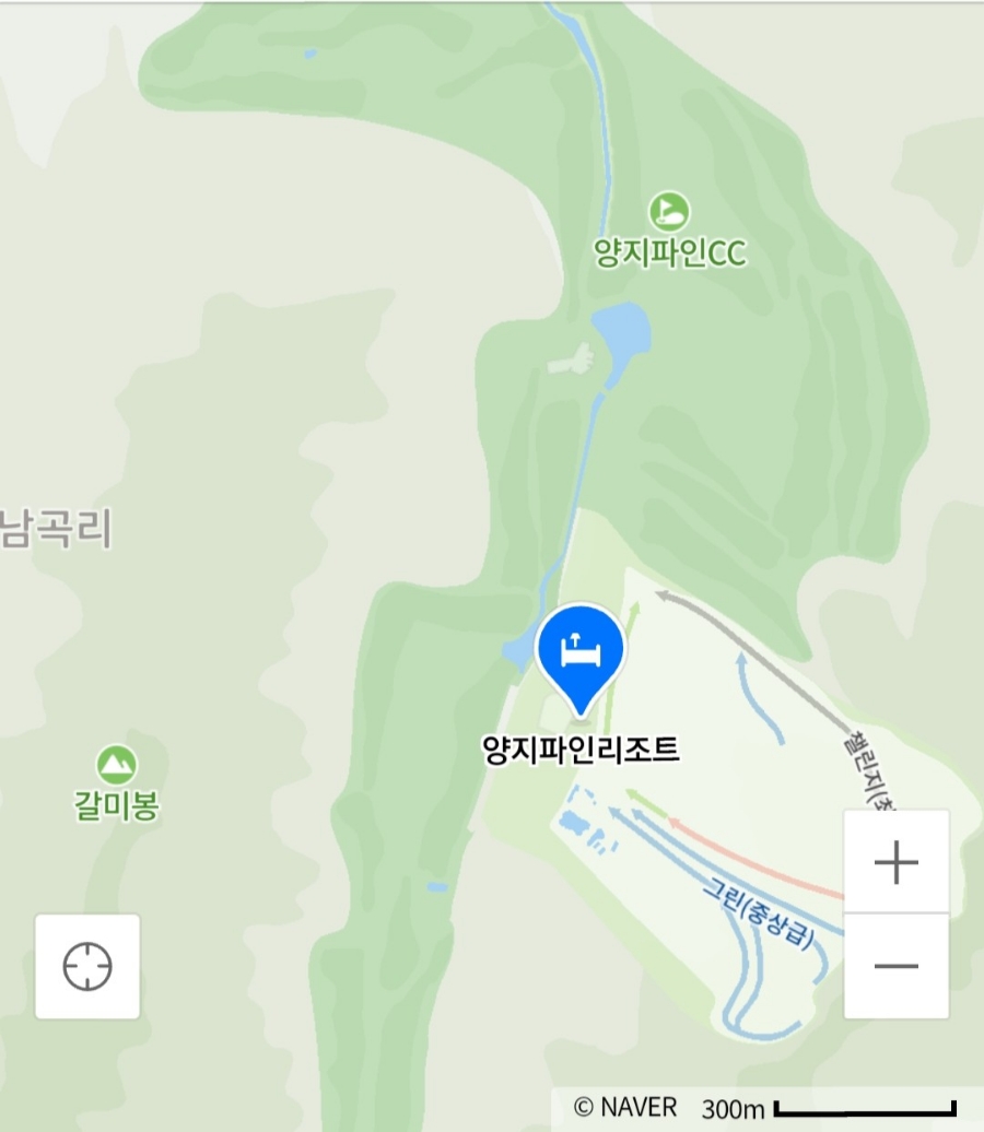봉피자 사진 1