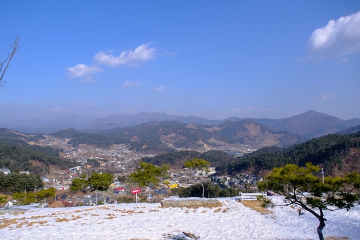  가평 당일치기 여행으로 가볼만한 아침고요수목원카페 가평 구름산카페 가평애견동반카페로 추천