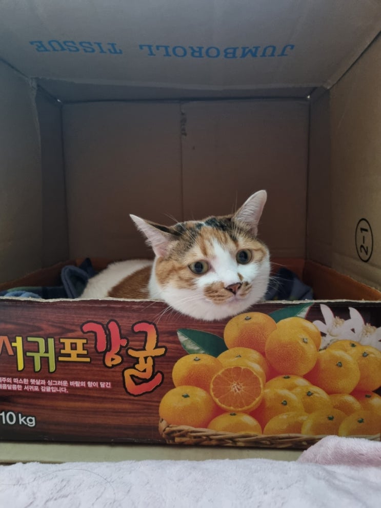  시간아 세상아 아주그냥 존나빨리가는구나