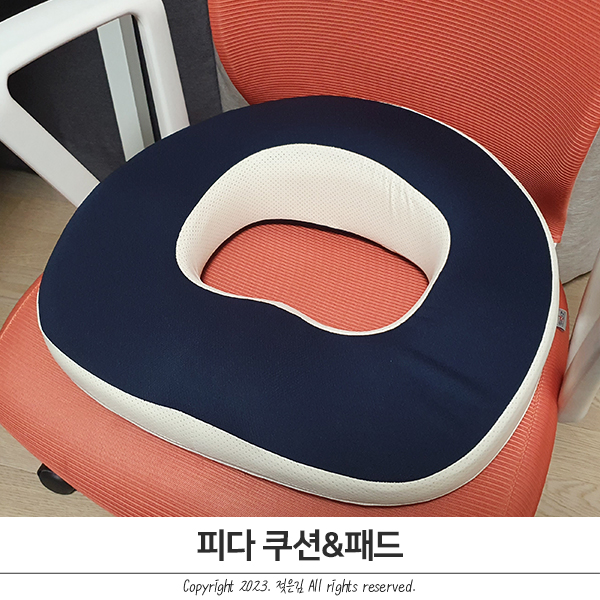 피다 자세교정방석과 패드 사용해봤어요 피다 자세교정방석과 패드 사용해봤어요