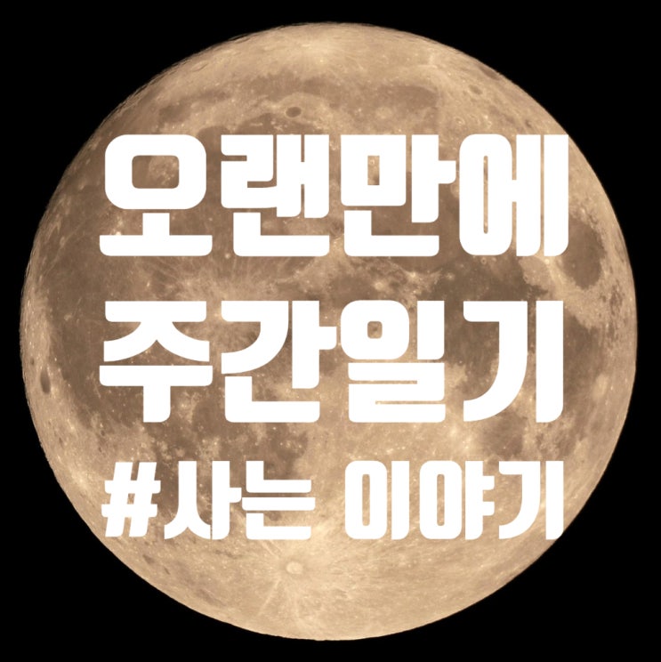  오랜만에 쓰는 주간 일기 같은(?) 월간 일기 나의 근황