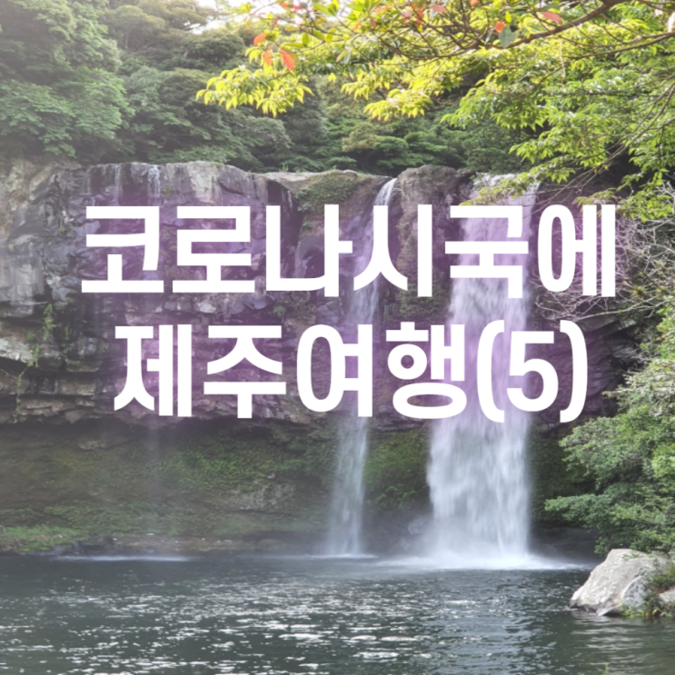  [2021.05 제주] 코로나시국에 제주여행(5)_천지연폭포 위치, 가는법, 가격, 운영시간, 중문시장, 맛집, 가는법, 횟집, 서귀포이마트, 돌하루방
