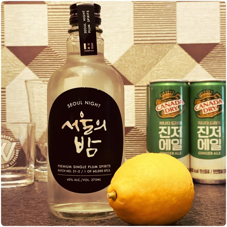  「서울의 밤」 하이볼 끝판왕 한국산 '진(증류주)' 술 리뷰! / feat. 진저에일