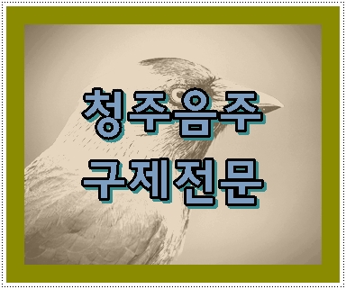 청주 음주운전 구제 이렇게 합니다 청주 음주운전 구제 이렇게 합니다