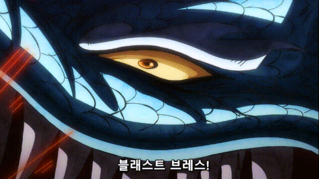 원피스 애니 1050화 자막 리뷰 원피스 애니 1050화 자막 리뷰