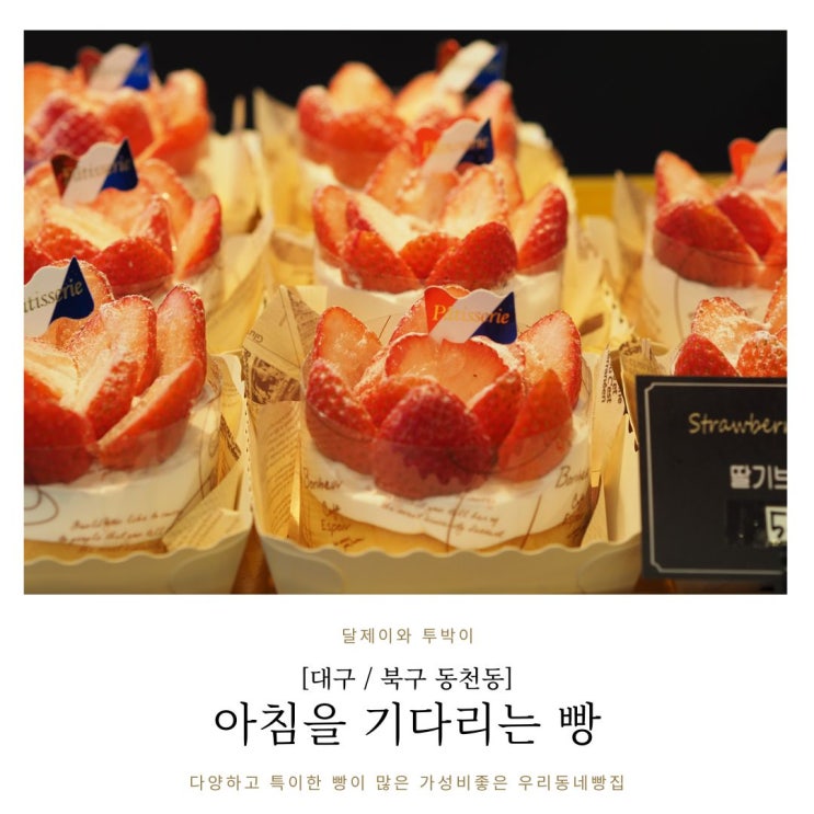  칠곡3지구빵집 완전추천하는곳 대구 빵지순례 "아침을기다리는빵"