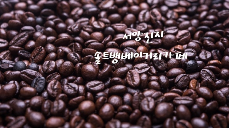  서양진지. 솔트뱅베이커리.