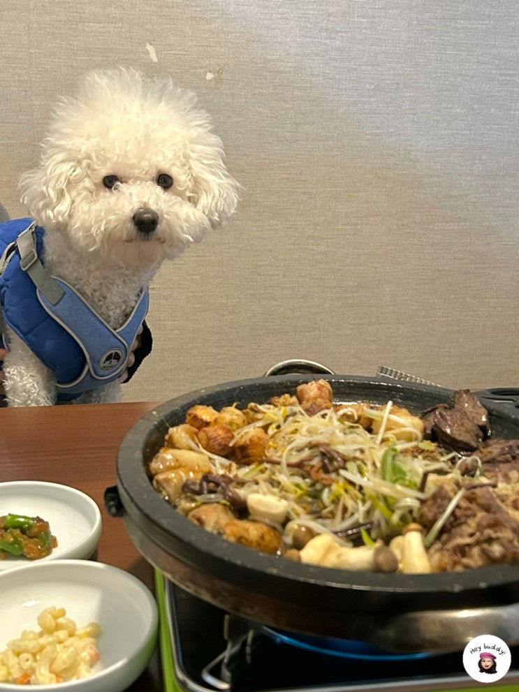  대구 죽전역 맛집 곱창에 곱이 아주 꽉 찼다! 실내 애견동반 가능한 솔베 곱앤덮