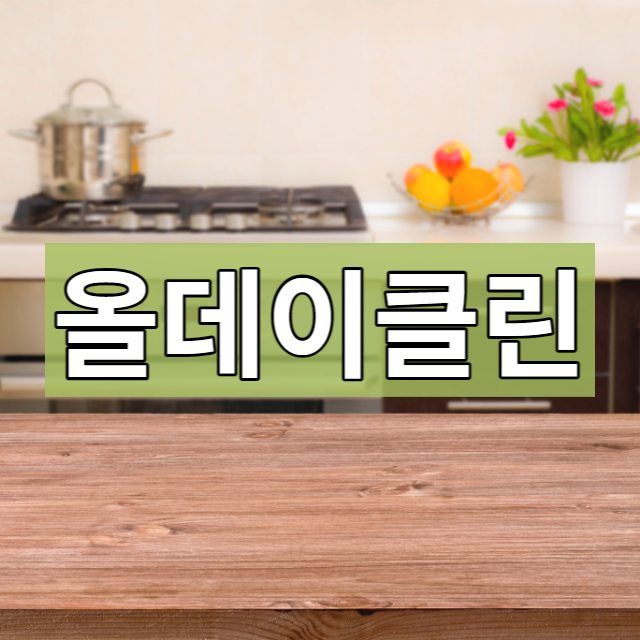  일산 입주청소 분담해서 철저하게