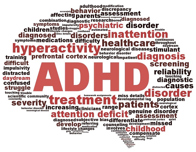 성인 ADHD와 쓰레기집의 상관관계 정신장애 증상