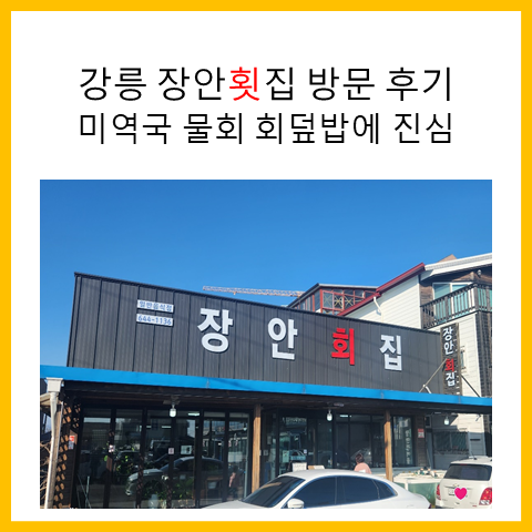 강릉 장안횟집 방문 후기.  미역국 물회 회덮밥에 진심