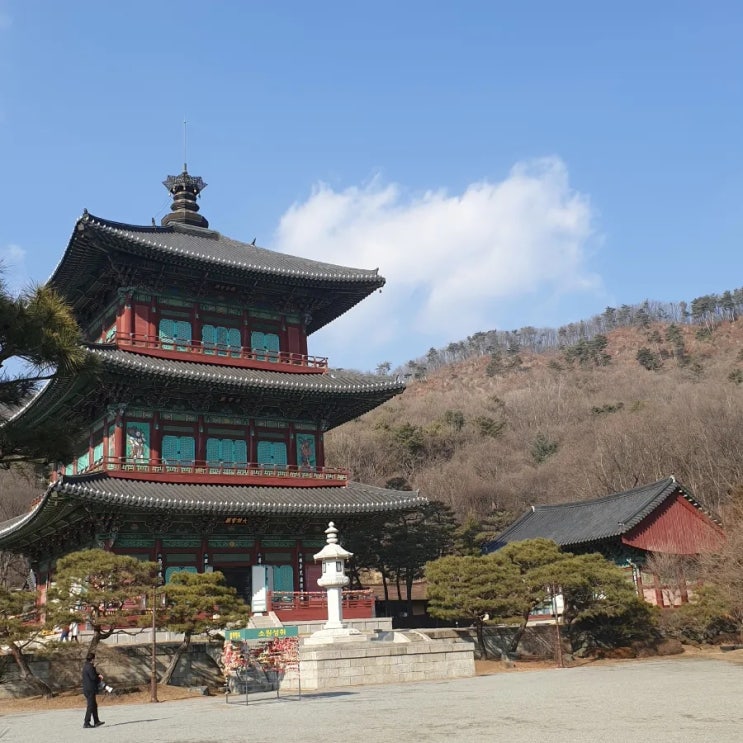  충북 진천 보탑사 - 3층 목탑과 와불상
