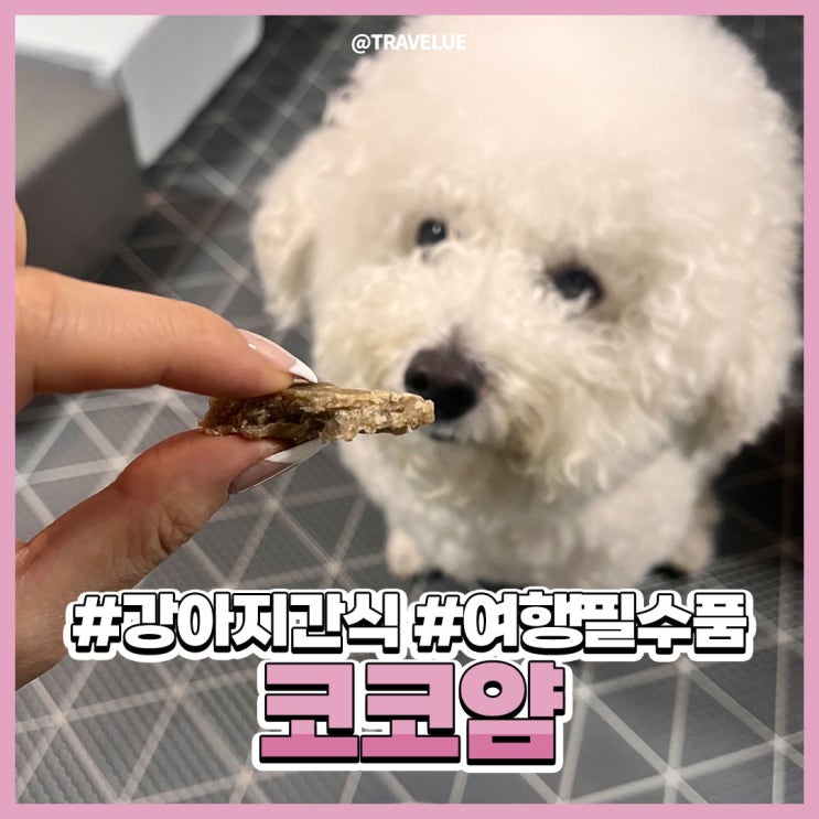 대구반려동물수제간식 :: 코코얌 수제라서 더욱 믿음직스러움!