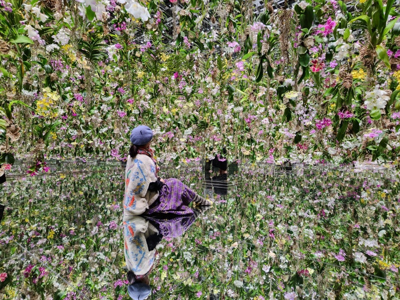 도쿄 방문 장소 TeamLab Planets 예약 관람 팁 리뷰